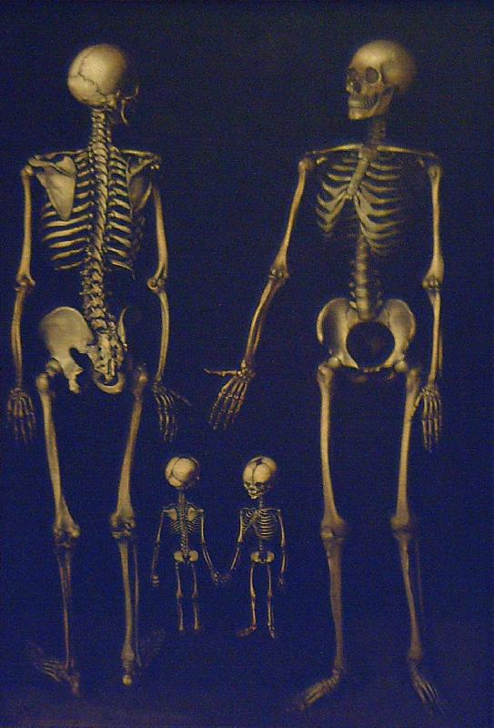 Joseph Esperlin Skeleton Family